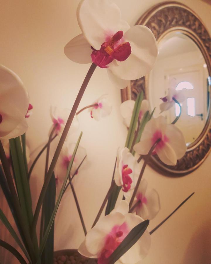 Διαμερισμα Su Casa Apartment Koropion Bagian luar foto